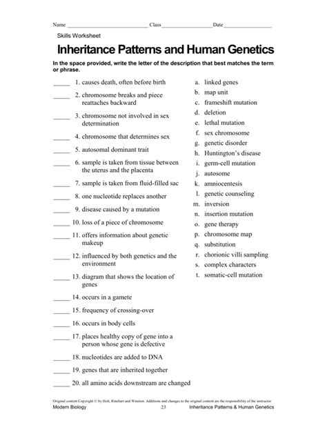 FUNDAMENTALS OF GENETICS SKILLS WORKSHEET ANSWER KEY Ebook Epub