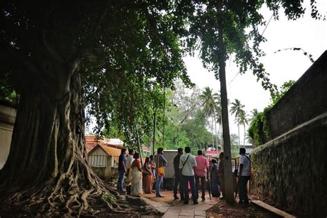 Faça uma excursão pelo Fórum dos Deuses: