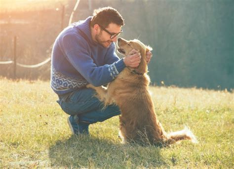 FabDog: The Ultimate Guide to Man's Best Friend