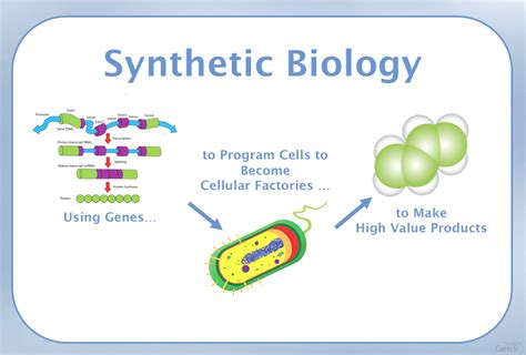 Fabrica Clones 101: Unveiling the Potential of Synthesized Biology