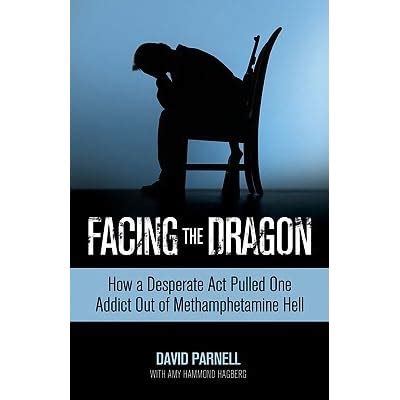 Facing the Dragon How a Desperate Act Pulled One Addict Out of Methamphetamine Hell Kindle Editon