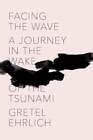 Facing the Wave A Journey in the Wake of the Tsunami Epub