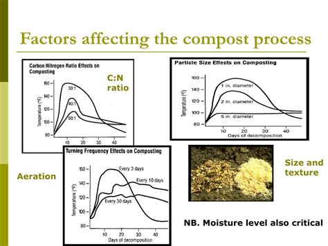 Factors Affecting Compost Turner Price