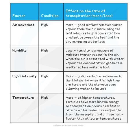 Factors Affecting the Conversion: