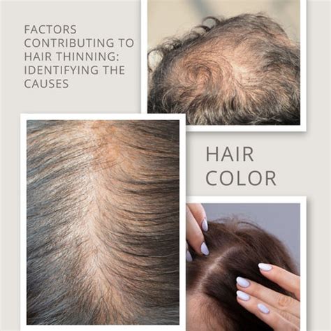 Factors Contributing to Thinning Hair