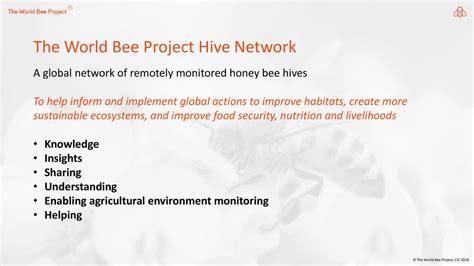 Factors Contributing to the Development of Hives