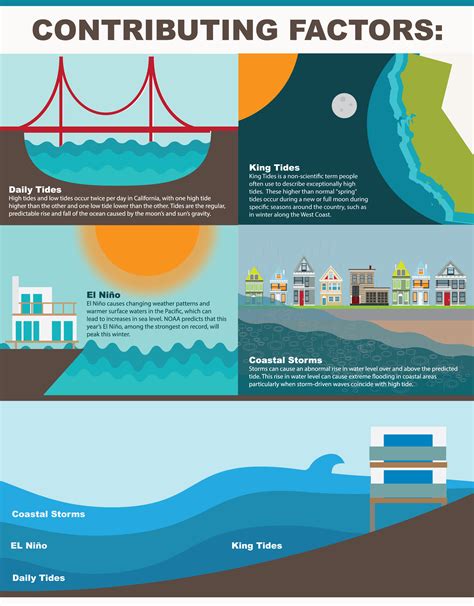 Factors Contributing to the Surge