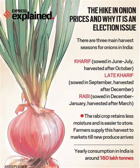 Factors Driving the Surge in Onion Prices