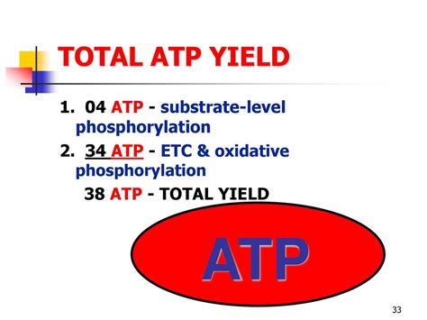 Factors Influencing ATP Yield