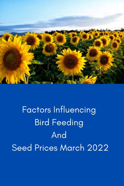 Factors Influencing Bater Bird Price