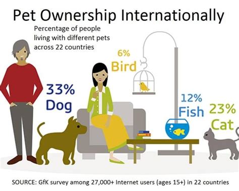 Factors Influencing Dog Food Prices