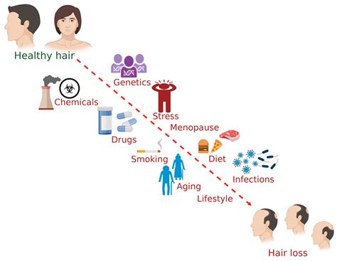 Factors Influencing Human Hair Prices