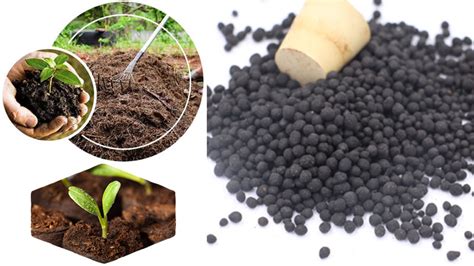 Factors Influencing Organic Fertilizer Machine Prices