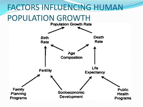 Factors Influencing Population Growth