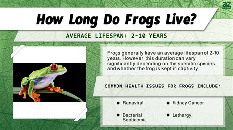 Factors Shaping Frog Life Expectancy