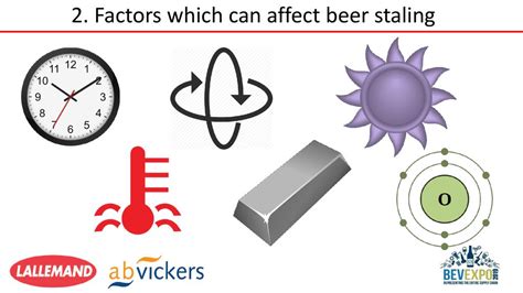 Factors That Affect the Smell of Beer
