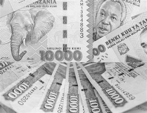 Factors that Affect the Kenya Shillings to USD Exchange Rate