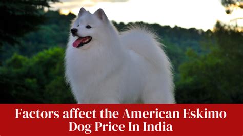 Factors that Affect the Price of Inuit Dogs