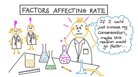 Factors that Affect the Rate of Return