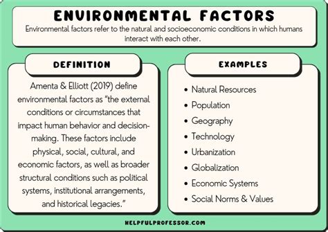 Factors that Influence Environmental Economist Salaries