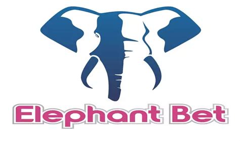 Factors to Consider When Making an Elephant Bet