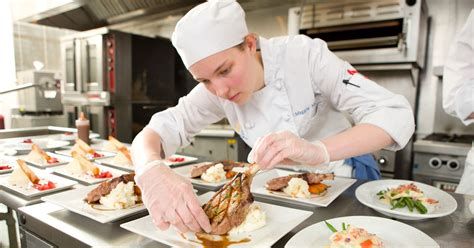 Faculty Plus Food Technology: A Culinary Revolution in Higher Education