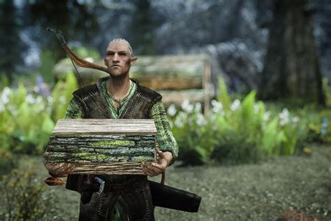 Faendal's Origins: Woodsman to Companion