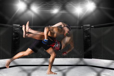 Fagata MMA: A Comprehensive Guide to the World of Mixed Martial Arts