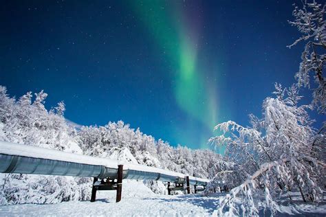 Fairbanks, Alaska: Where the Northern Lights Dance in Your Living Room