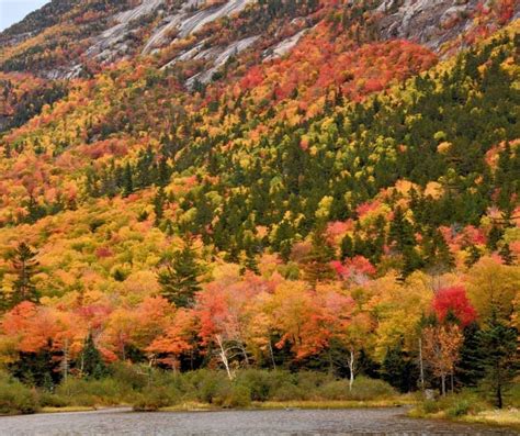 Fall Foliage Provides a Boost to Local Economies