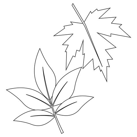 Fall Leaves Template