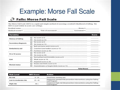 Fall Prevention and the Morse Fall Scale: A Comprehensive Guide