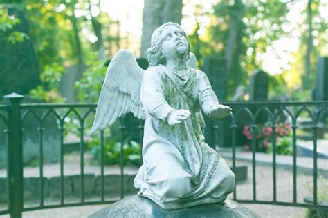 Fallen Angels Bonds: A Lucrative Investment Opportunity with Hidden Risks