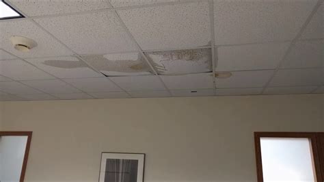 Fallen ceiling tiles