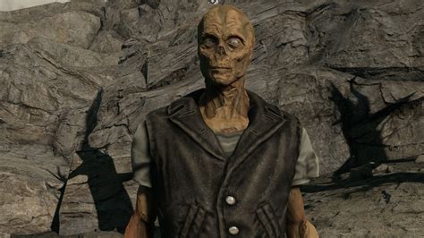 Fallout 3 Ghoul Mask: An Immersive Journey into the Wasteland's Mystery