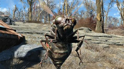 Fallout 76 Insects: A Comprehensive Guide