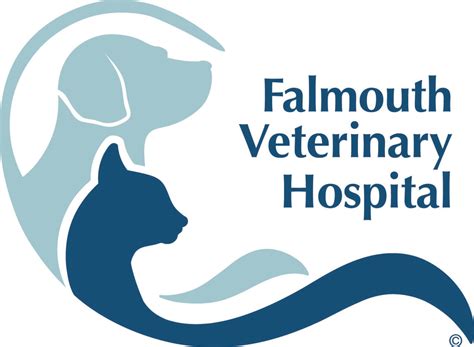 Falmouth Veterinary Hospital