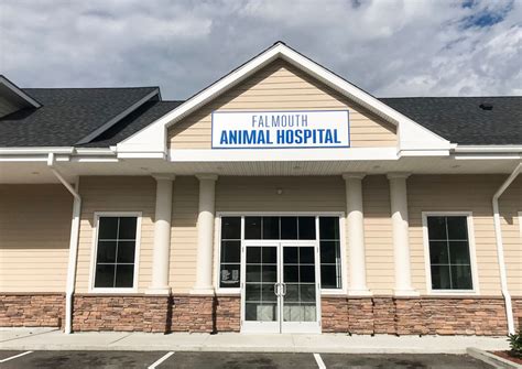 Falmouth Veterinary Hospital, Falmouth, Maine: Your Pet's Trusted Healthcare Provider