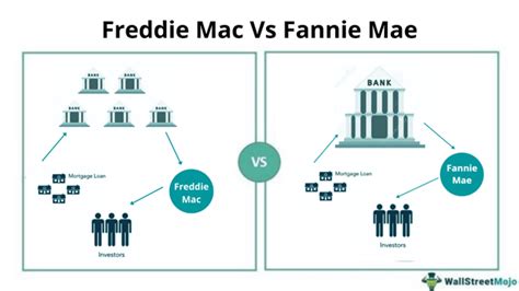 Fannie Mae vs Freddie Mac: 5,000 Homebuyers Enlightened