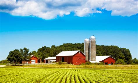 Farm Reader