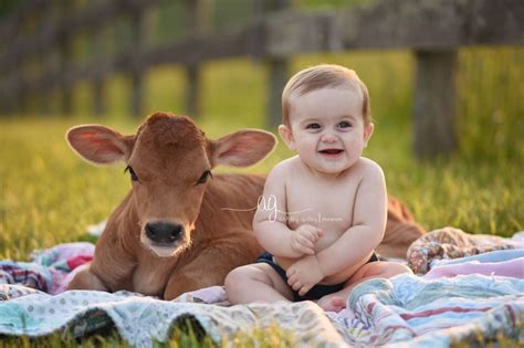 Farm Babies Reader
