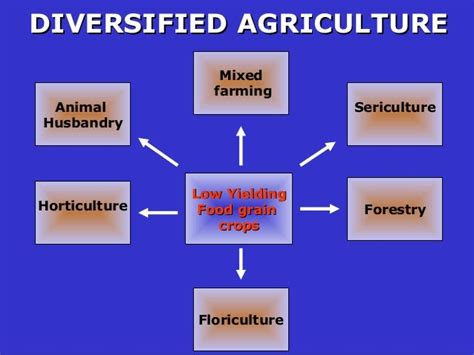 Farm Diversification for Sustainable Agriculture 1st Edition Epub