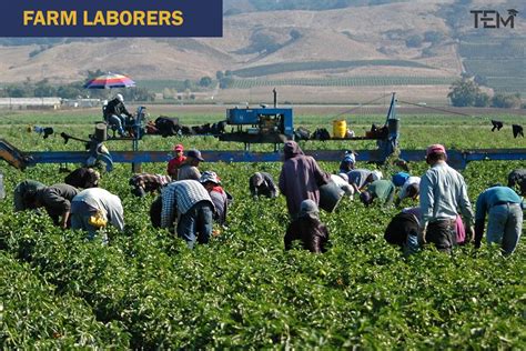 Farm Laborers and Farm Managers: