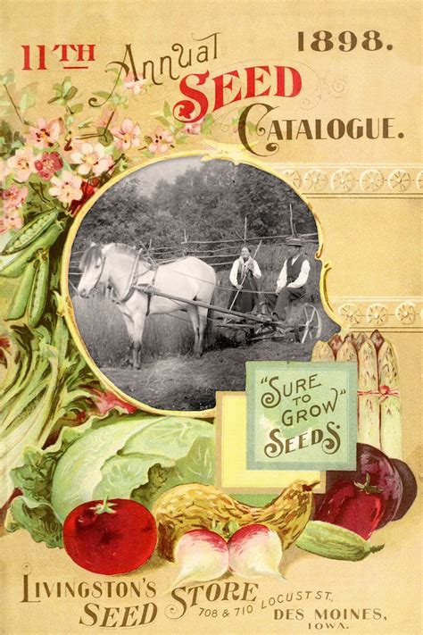 Farm Papers And Seed Catalogs 1880s