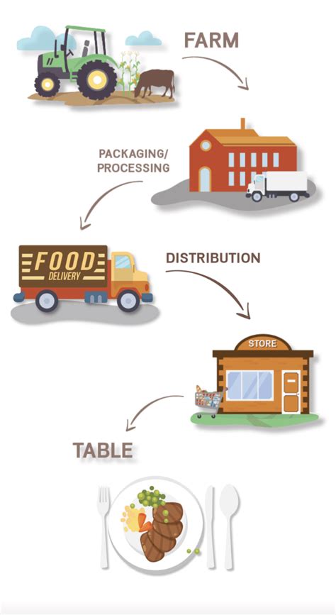 Farm-to-Table Networks: