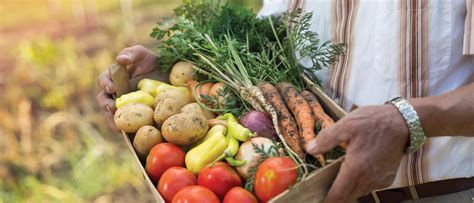 Farm-to-table