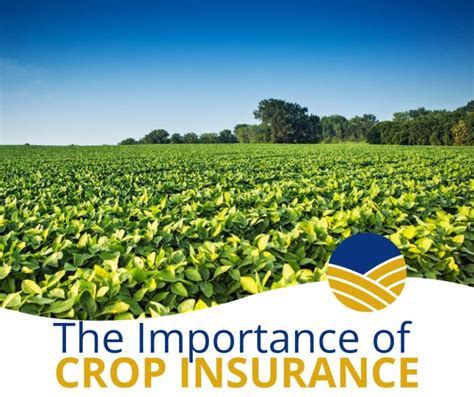 Farmers Union Insurance: Protecting American Farms for Over a Century