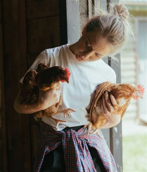 Farmgirl Lacy: A Comprehensive Guide to Sustainable and Affordable Farming