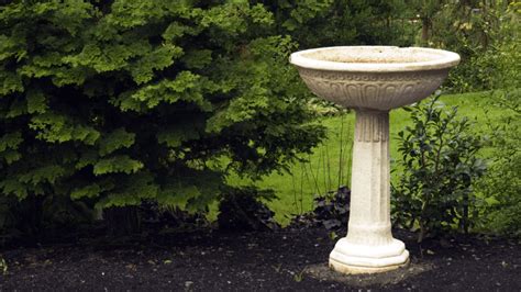 Farmhouse Bird Baths: A Haven for Feathered Friends