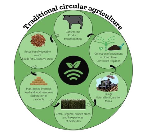 Farming Systems Theory and Practice Doc